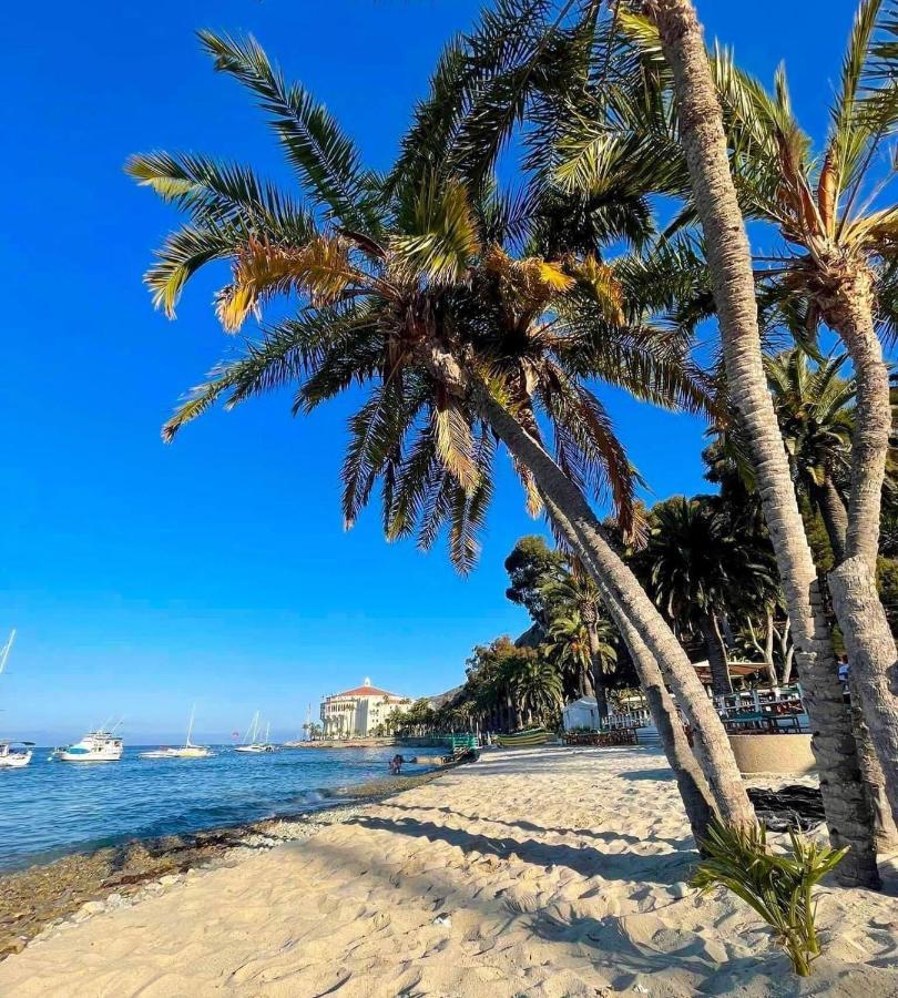 Lux Oceanfront Villa With Breathtaking Views 阿瓦隆 外观 照片